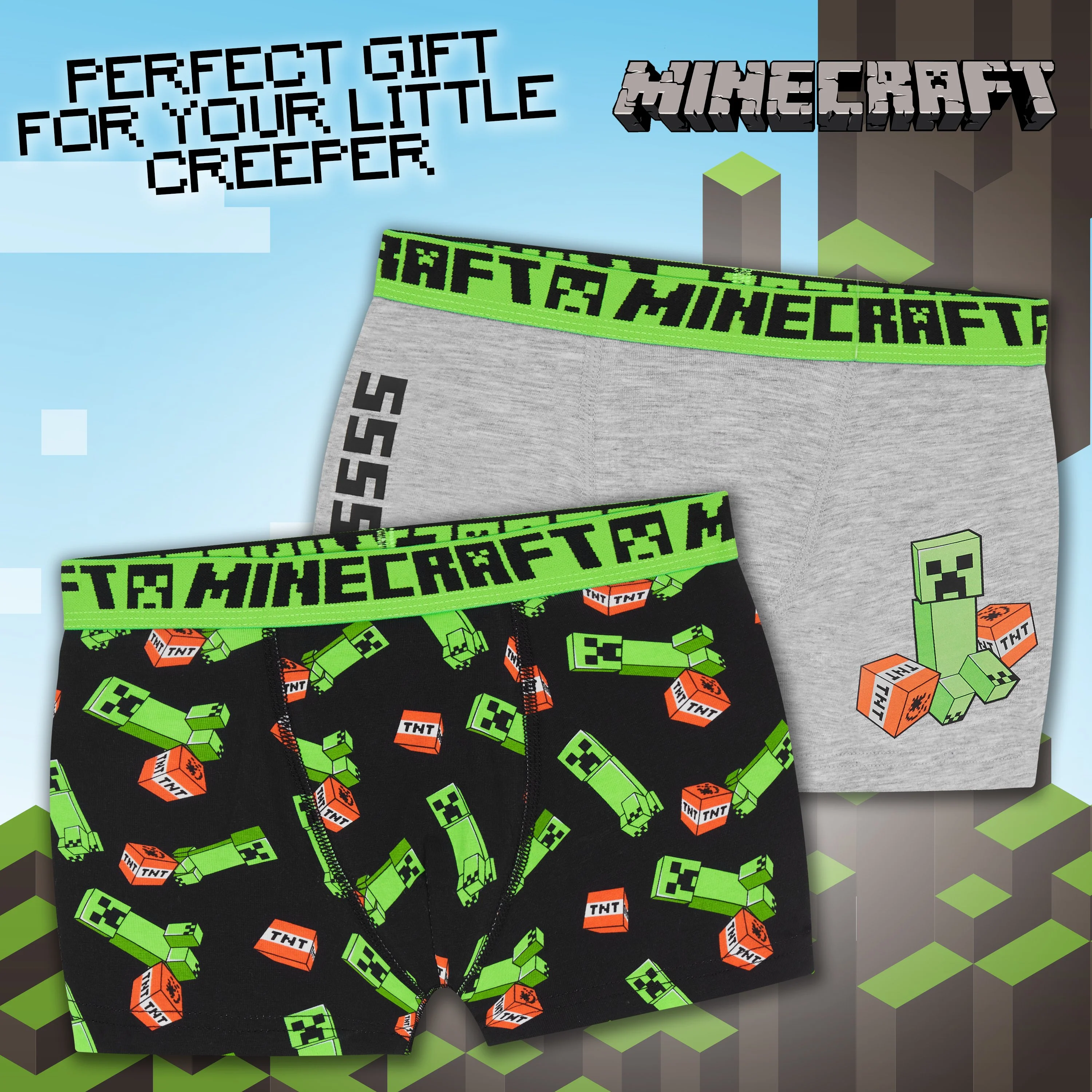 Minecraft Boxer Shorts, Boys Underwear -Pack of 2 - Image 3